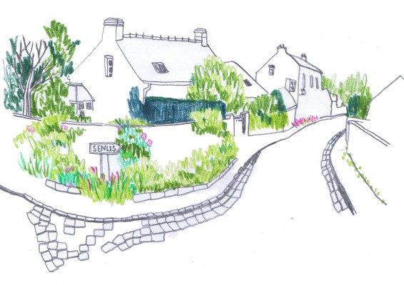 Omnibus | Borest, cogitations et plantations