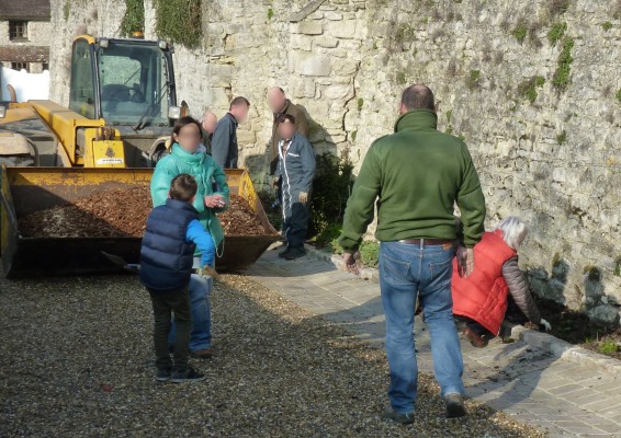 Omnibus | Borest, cogitations et plantations