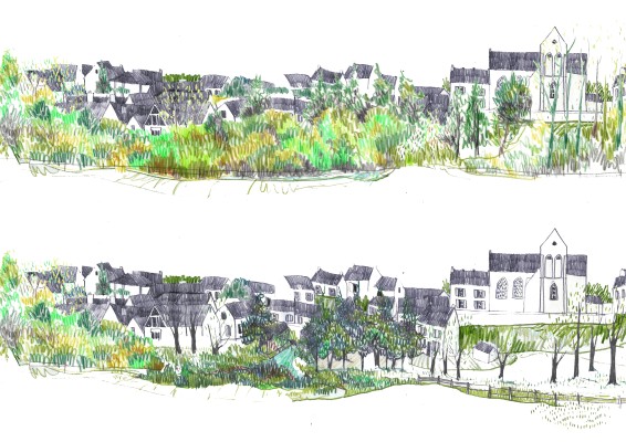 Omnibus | Borest, cogitations et plantations