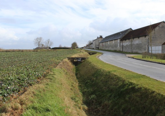 Omnibus | Borest, cogitations et plantations