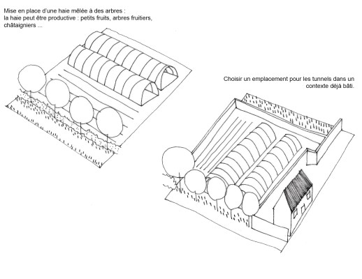 Omnibus | Cultiver sur l&#039;île de Bréhat