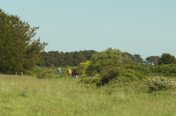 Omnibus | Délaissés de Belle-Île-en-Mer