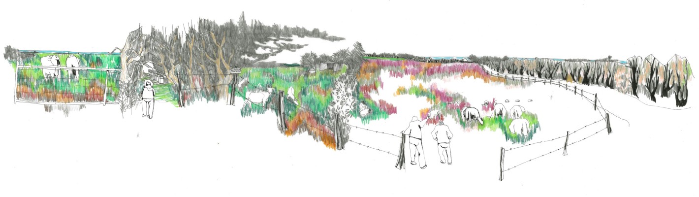 Omnibus | Délaissés de Belle-Île-en-Mer