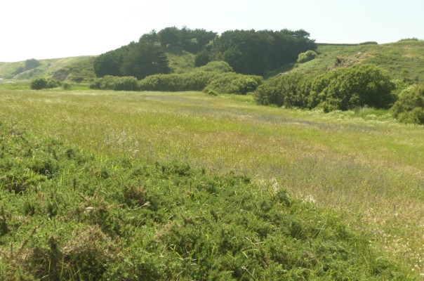 Omnibus | Délaissés de Belle-Île-en-Mer