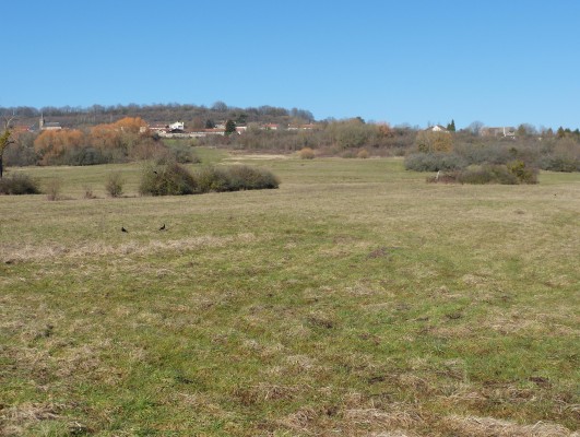 Omnibus | Fèves, le parc du fer à cheval