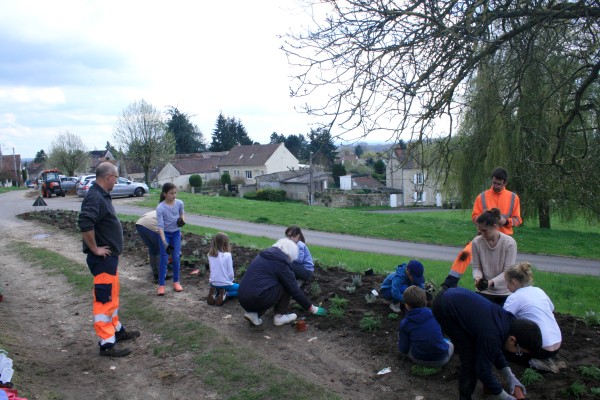 Omnibus | Fleurissement durable, de la théorie à l&#039;action