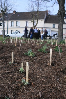 Omnibus | Fleurissement durable, de la théorie à l&#039;action