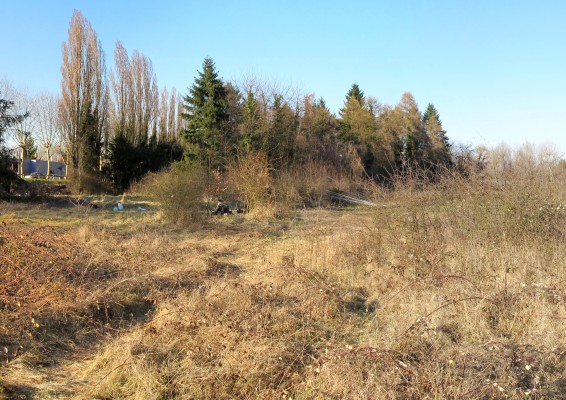 Omnibus | La Sapinière, une friche à Grigny