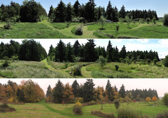 Omnibus | La Sapinière, une friche à Grigny