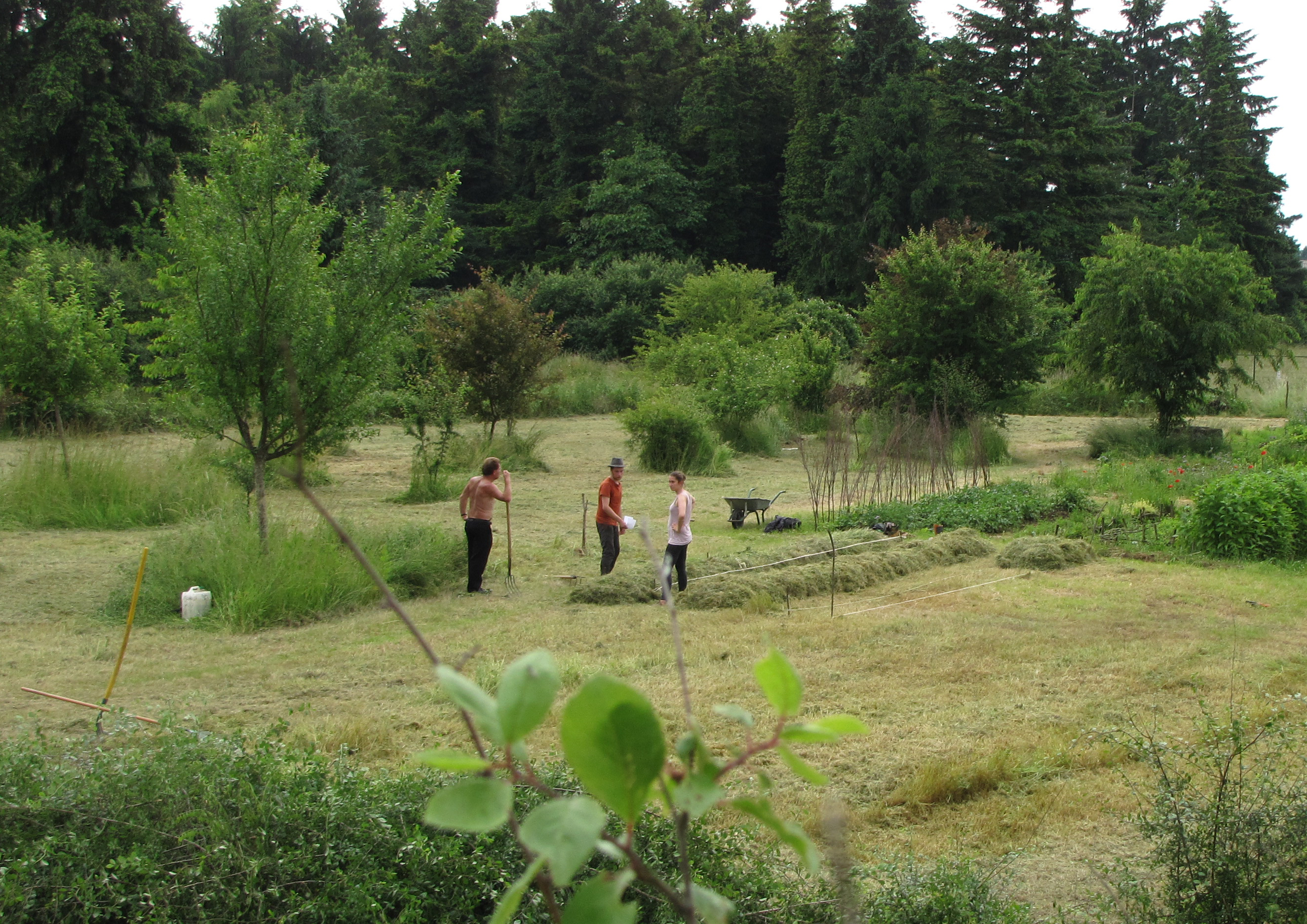 Omnibus | La Sapinière, une friche à Grigny