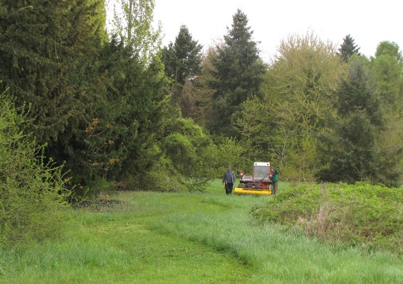 Omnibus | La Sapinière, une friche à Grigny