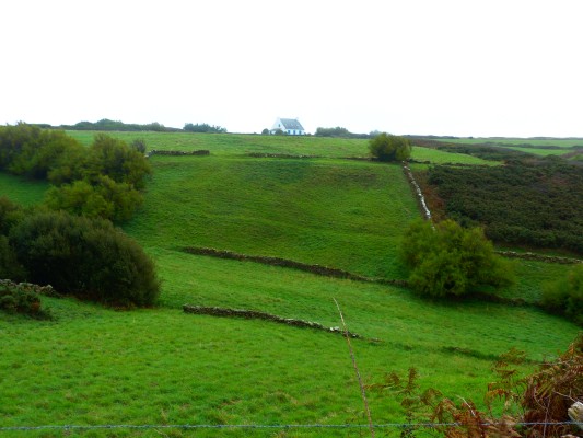 Omnibus | Locmaria, paysages viticoles à venir