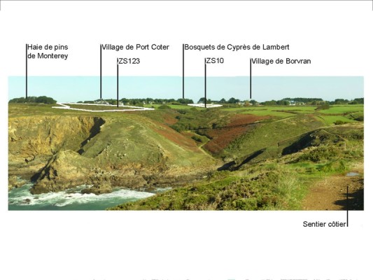 Omnibus | Locmaria, paysages viticoles à venir