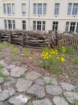 Omnibus | Ouvrir un ancien site hospitalier sur la ville