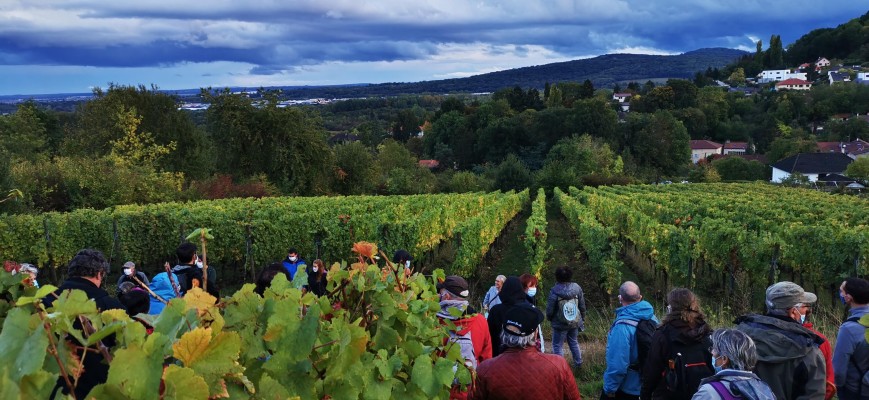 Omnibus | Plan paysage des Côtes de Moselle