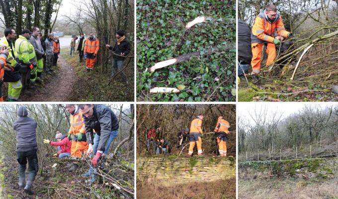 Omnibus | Plan paysage des Côtes de Moselle