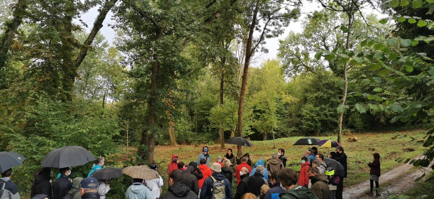 Omnibus | Plan paysage des Côtes de Moselle