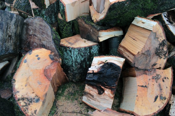 Omnibus | Poupry, le seuil du cimetière