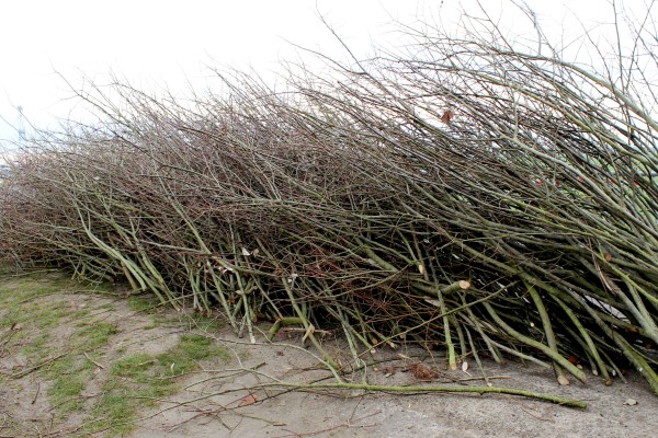 Omnibus | Poupry, le seuil du cimetière