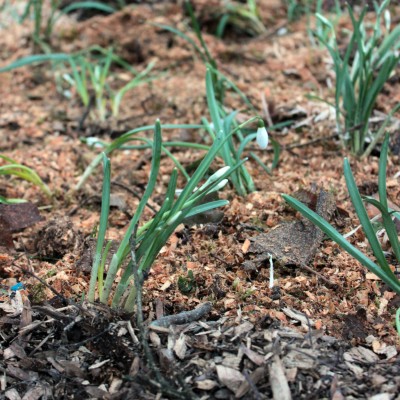 Omnibus | Poupry, le seuil du cimetière
