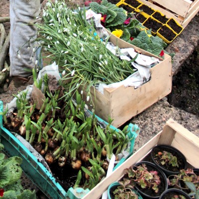 Omnibus | Poupry, le seuil du cimetière