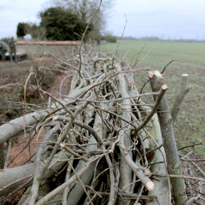 Omnibus | Poupry, le seuil du cimetière