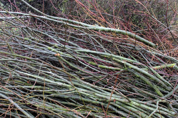 Omnibus | Poupry, le seuil du cimetière