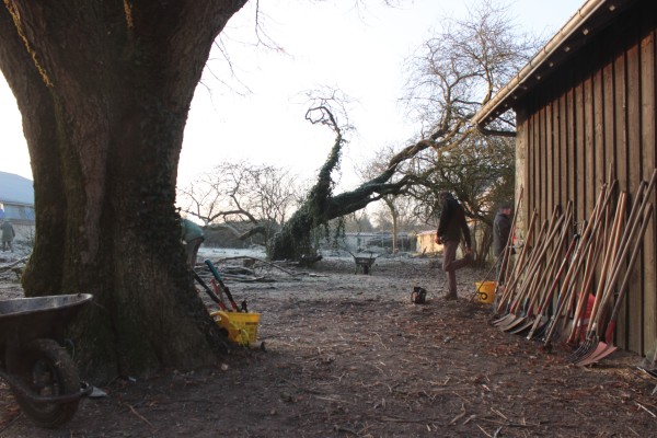 Omnibus | Poupry, nouveau jardin public à l&#039;école