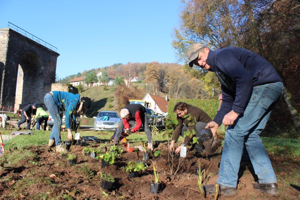 Omnibus | Rosteig, change ton paysage !