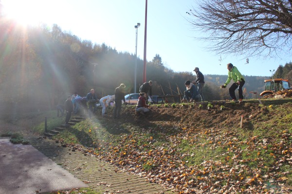 Omnibus | Rosteig, change ton paysage !