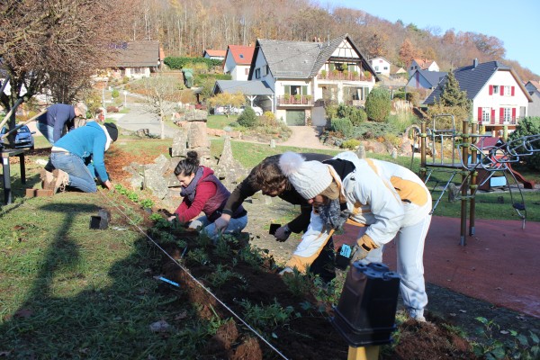 Omnibus | Rosteig, change ton paysage !